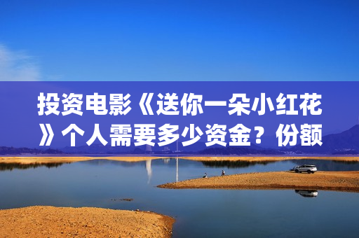 投资电影《送你一朵小红花》个人需要多少资金？份额占比多少？(送你票房一朵小红花演员表)