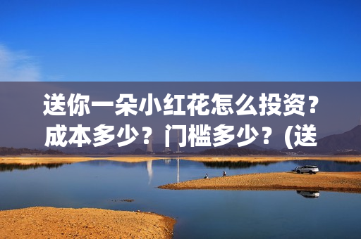 送你一朵小红花怎么投资？成本多少？门槛多少？(送你一朵小红花电影)