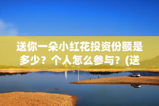 送你一朵小红花投资份额是多少？个人怎么参与？(送你一朵小红花 歌曲)