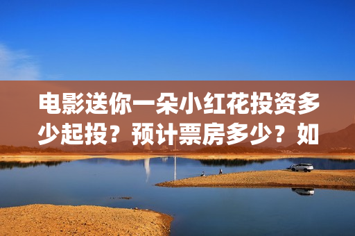 电影送你一朵小红花投资多少起投？预计票房多少？如何参与？(电影送你一朵小红花简介)
