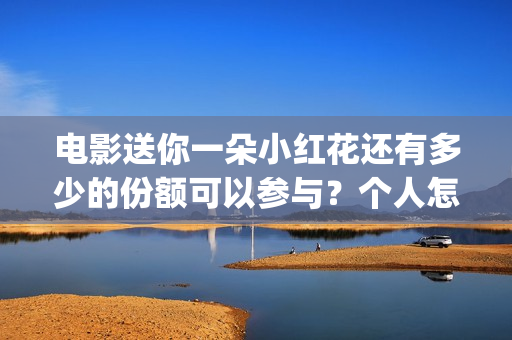 电影送你一朵小红花还有多少的份额可以参与？个人怎么参与？(电影送你一朵小红花的英文)