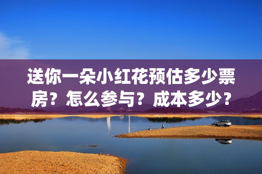 送你一朵小红花预估多少票房？怎么参与？成本多少？ (送你一朵小红花电影免费观看)