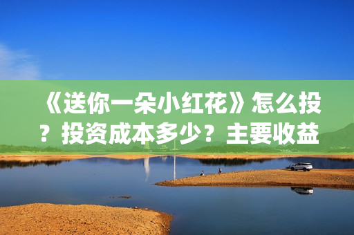 《送你一朵小红花》怎么投？投资成本多少？主要收益有哪些？(送你一朵小红花简谱)