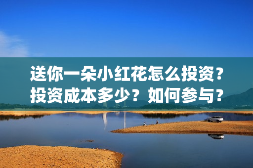 送你一朵小红花怎么投资？投资成本多少？如何参与？(送你一朵小红花电影剧情介绍)