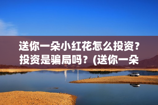 送你一朵小红花怎么投资？投资是骗局吗？(送你一朵小红花简谱)