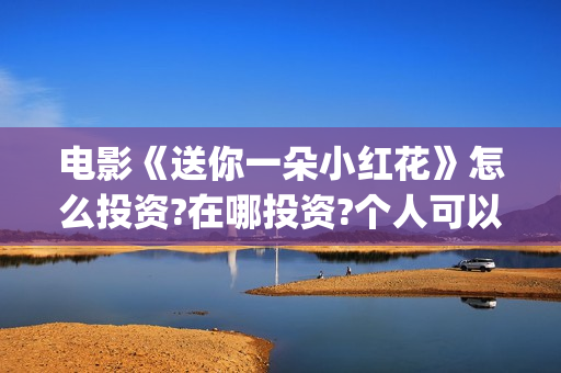 电影《送你一朵小红花》怎么投资?在哪投资?个人可以投资吗(电影《送你一朵小红花》的导演和主演)