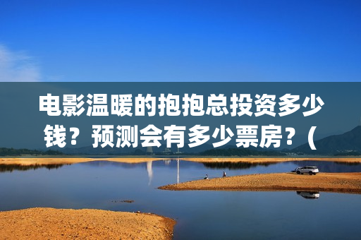 电影温暖的抱抱总投资多少钱？预测会有多少票房？(电影温暖的抱抱剧情介绍)