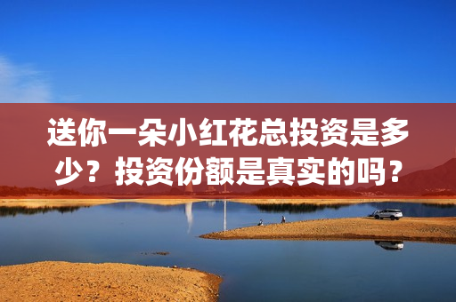 送你一朵小红花总投资是多少？投资份额是真实的吗？(送你一朵小红花歌词表达什么意思)