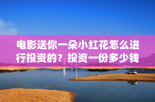 电影送你一朵小红花怎么进行投资的？投资一份多少钱(电影送你一朵小红花豆瓣评分)
