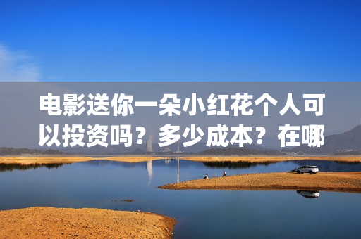 电影送你一朵小红花个人可以投资吗？多少成本？在哪投？(电影送你一朵小花)