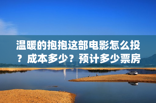 温暖的抱抱这部电影怎么投？成本多少？预计多少票房？(温暖的抱抱讲啥)