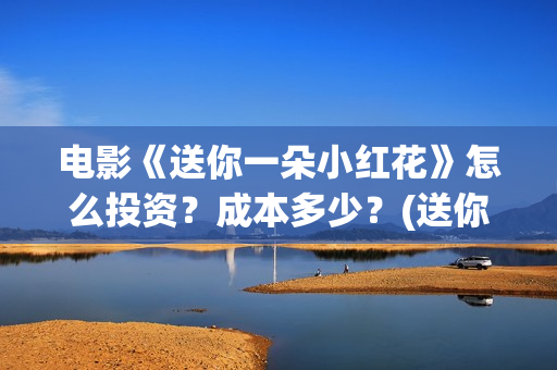 电影《送你一朵小红花》怎么投资？成本多少？(送你一朵 ed2k)