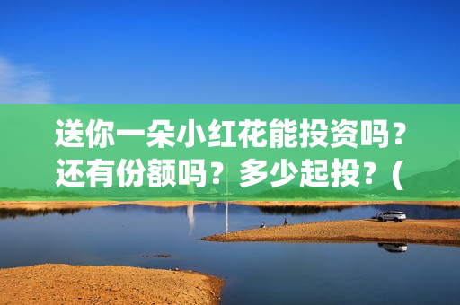 送你一朵小红花能投资吗？还有份额吗？多少起投？(送你一朵小红花电影)