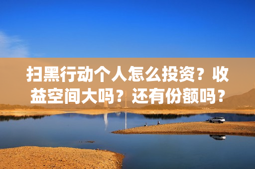 扫黑行动个人怎么投资？收益空间大吗？还有份额吗？(扫黑行动简介)