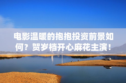 电影温暖的抱抱投资前景如何？贺岁档开心麻花主演！(电影温暖的抱抱免费观看完整版)