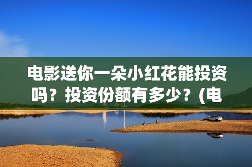 电影送你一朵小红花能投资吗？投资份额有多少？(电影送你一朵小红花演员表)