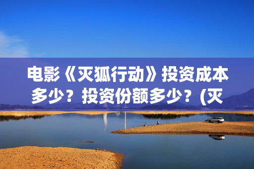 电影《灭狐行动》投资成本多少？投资份额多少？(灭狐行动最近消息)