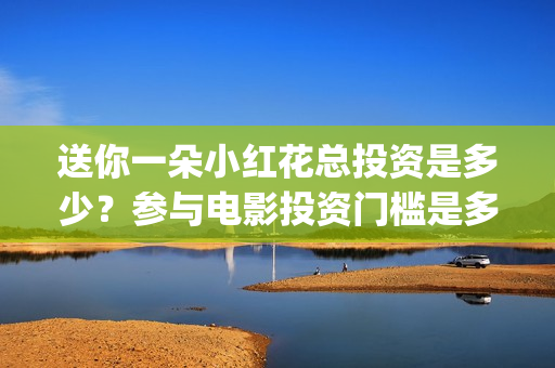 送你一朵小红花总投资是多少？参与电影投资门槛是多少？(送你一朵小红花简谱)