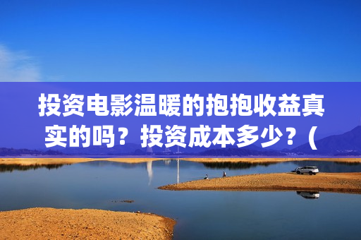 投资电影温暖的抱抱收益真实的吗？投资成本多少？(电影温暖的作文)