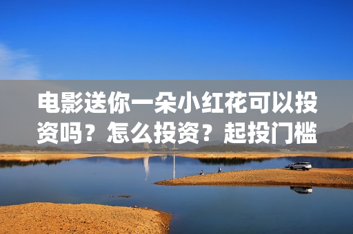 电影送你一朵小红花可以投资吗？怎么投资？起投门槛多少(电影送你一朵小红花完整版免费观看)