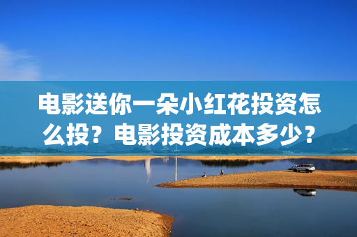 电影送你一朵小红花投资怎么投？电影投资成本多少？(电影送你一朵小红花豆瓣评分)