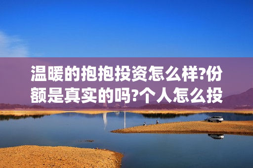 温暖的抱抱投资怎么样?份额是真实的吗?个人怎么投资? (温暖的抱抱投资会血本无归吗)