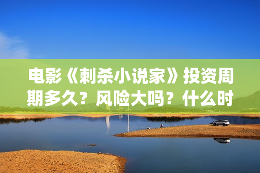 电影《刺杀小说家》投资周期多久？风险大吗？什么时候分红？(电影刺杀小说家2免费观看完整版高清)