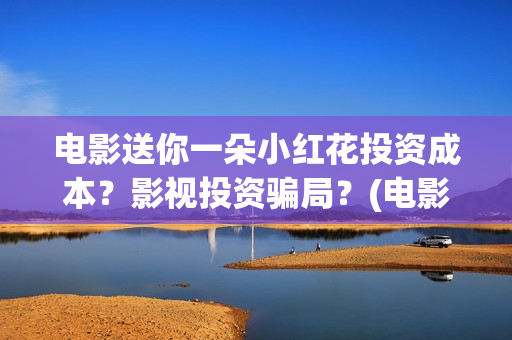 电影送你一朵小红花投资成本？影视投资骗局？(电影送你一朵小红花完整版免费观看)