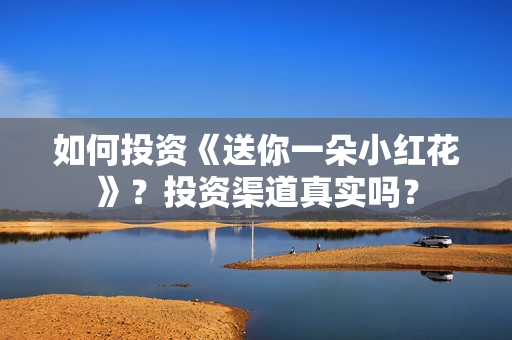 如何投资《送你一朵小红花》？投资渠道真实吗？