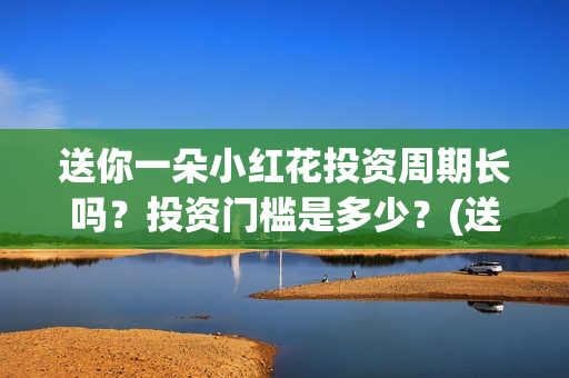 送你一朵小红花投资周期长吗？投资门槛是多少？(送你一朵小红花歌词)