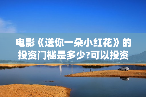 电影《送你一朵小红花》的投资门槛是多少?可以投资吗?(电影送你一朵小红花讲述的主题是抗癌吗)