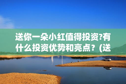 送你一朵小红值得投资?有什么投资优势和亮点？(送你一朵小红女主是谁)