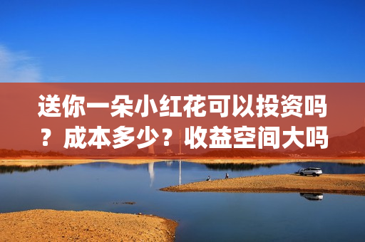 送你一朵小红花可以投资吗？成本多少？收益空间大吗？(送你一朵小红花 歌曲)
