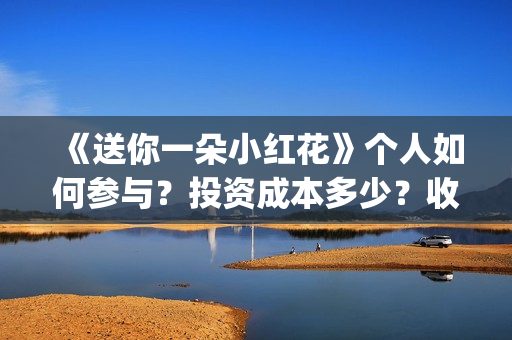 《送你一朵小红花》个人如何参与？投资成本多少？收益空间大吗？(送你一朵小红花简谱)