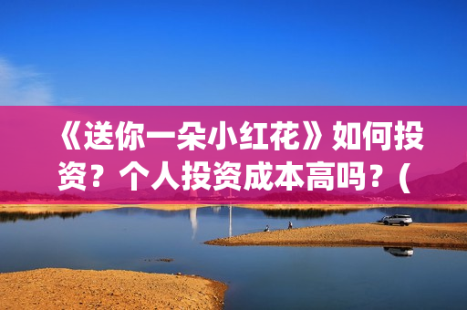 《送你一朵小红花》如何投资？个人投资成本高吗？(送你一朵小红花演员表)