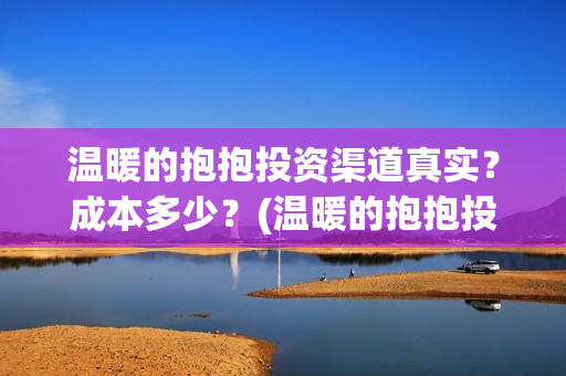 温暖的抱抱投资渠道真实？成本多少？(温暖的抱抱投资公司)