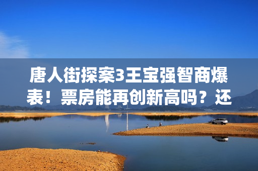 唐人街探案3王宝强智商爆表！票房能再创新高吗？还能投资吗？(唐人街探案3王宝强)