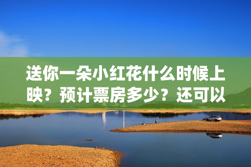 送你一朵小红花什么时候上映？预计票房多少？还可以投资吗？(送你一朵小红花歌词)