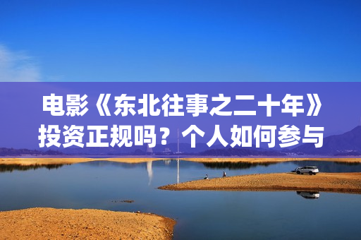 电影《东北往事之二十年》投资正规吗？个人如何参与？资金安全吗？(电影东北往事之大时代免费观看)