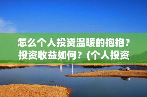 怎么个人投资温暖的抱抱？投资收益如何？(个人投资者怎么投资创业公司)