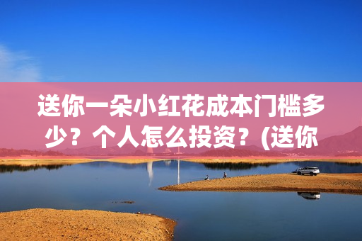送你一朵小红花成本门槛多少？个人怎么投资？(送你一朵小红花简谱)