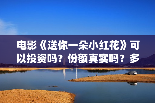 电影《送你一朵小红花》可以投资吗？份额真实吗？多少钱一份？(电影《送你一朵小红花》)