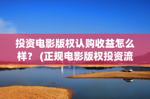 投资电影版权认购收益怎么样？ (正规电影版权投资流程)
