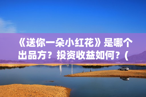 《送你一朵小红花》是哪个出品方？投资收益如何？(送你一朵小红花演员表)