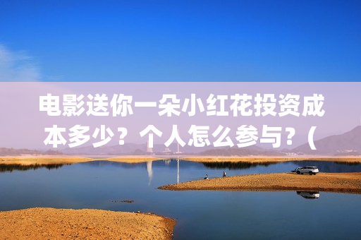 电影送你一朵小红花投资成本多少？个人怎么参与？(电影送你一朵小红花讲述的主题是抗癌吗)