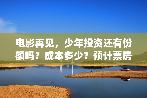电影再见，少年投资还有份额吗？成本多少？预计票房？(电影再见少年剧情详细)