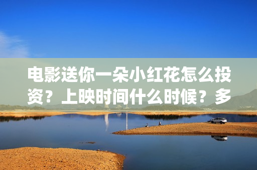 电影送你一朵小红花怎么投资？上映时间什么时候？多少起投？(电影送你一朵小红花豆瓣评分)