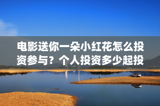 电影送你一朵小红花怎么投资参与？个人投资多少起投？(电影送你一朵小红花简介)