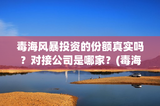 毒海风暴投资的份额真实吗？对接公司是哪家？(毒海风暴上映时间)