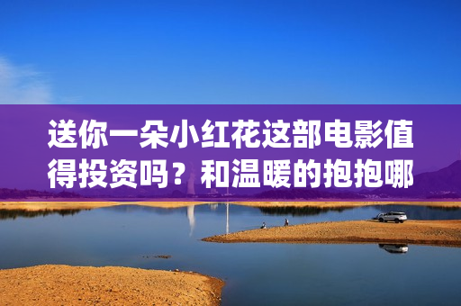 送你一朵小红花这部电影值得投资吗？和温暖的抱抱哪个好？(送你一朵小红花原唱)